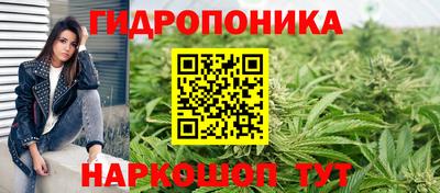 apvp Можга