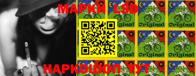 apvp Можга