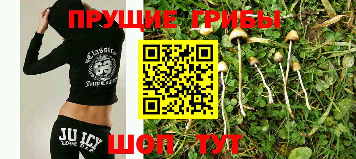 Галлюциногенные грибы прущие грибы  Галлюциногенные грибы MAGIC MUSHROOMS  Ялта  Вход с VPN 